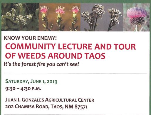 Community Lecture and Tour of Weeds Around Taos 03-29-19 (2)