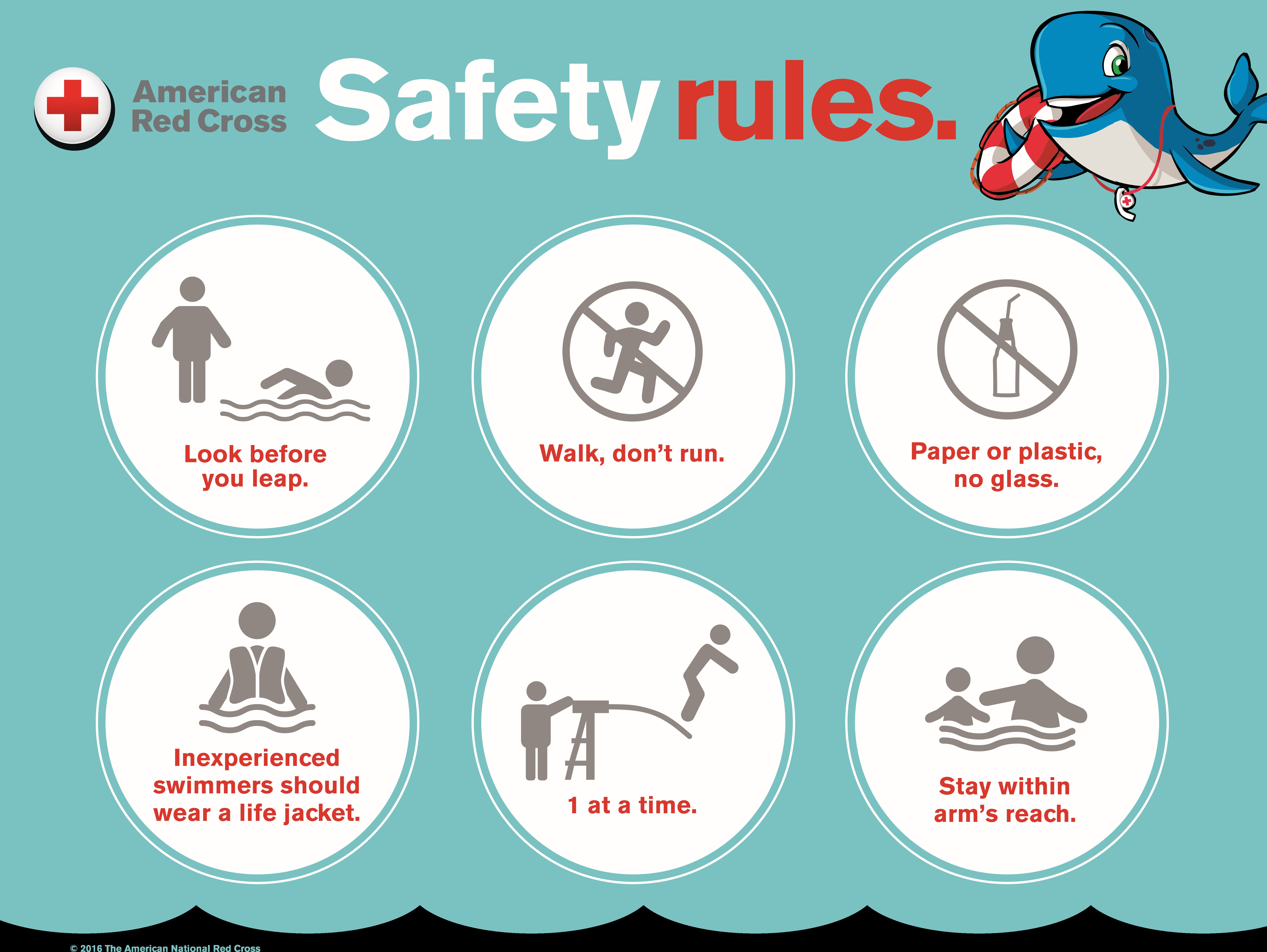 Safety Rules