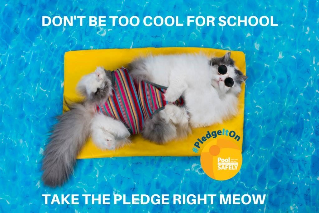 Pool Safely Pledge